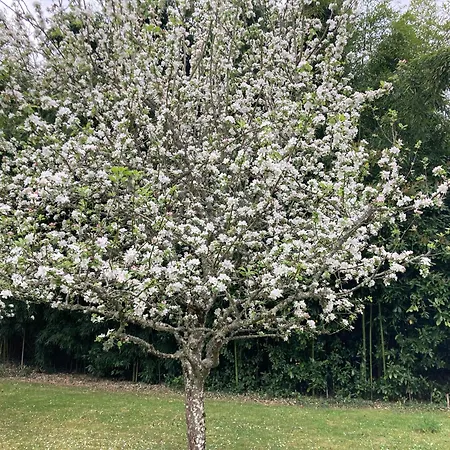 Manoir Blanche Et Tables D Hotes 3*