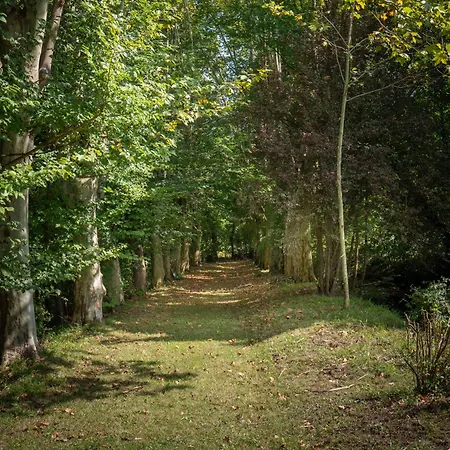 Manoir Blanche Et Tables D Hotes Gæstehus 4*